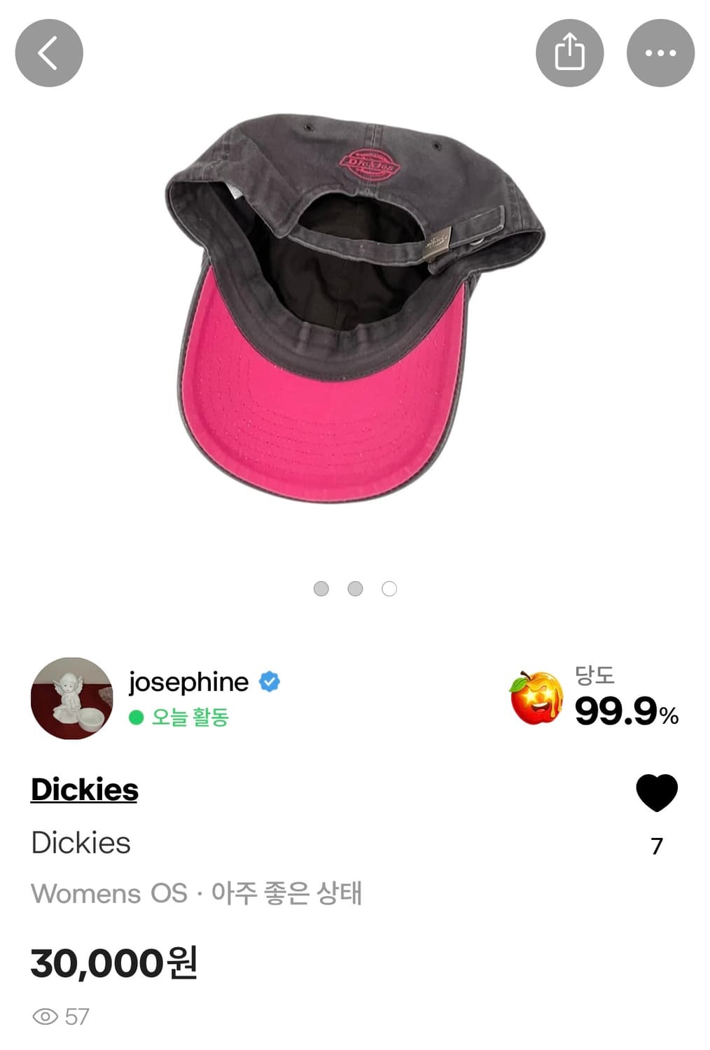 Dickies 디키즈 빈티지 모자 상품이미지4