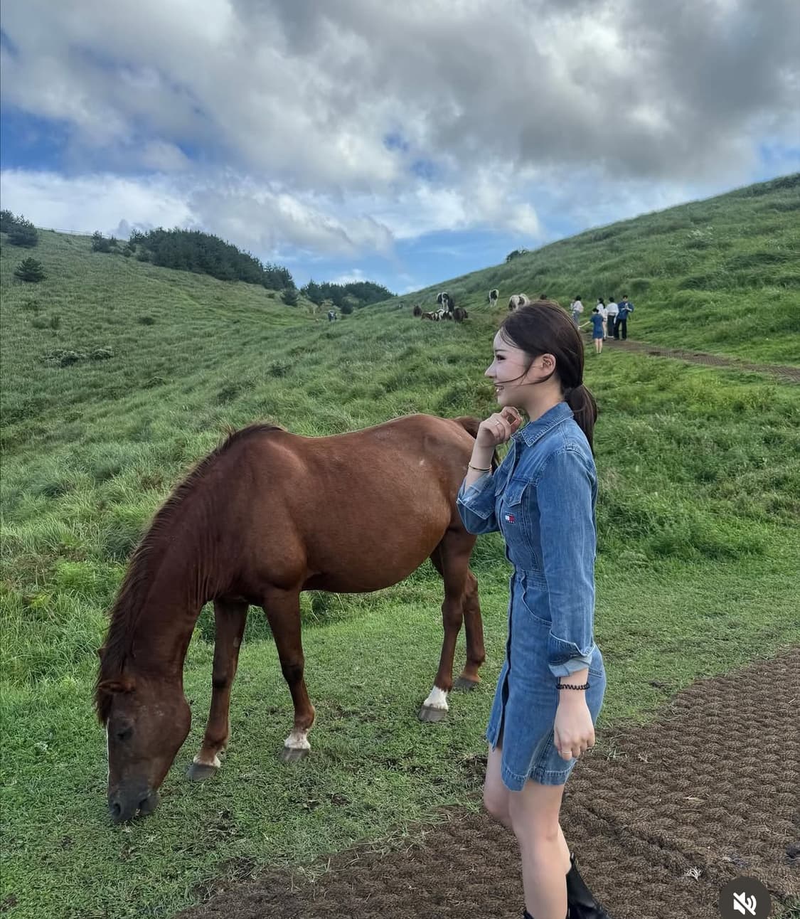 타미힐피거 청원피스 xs 상품이미지2