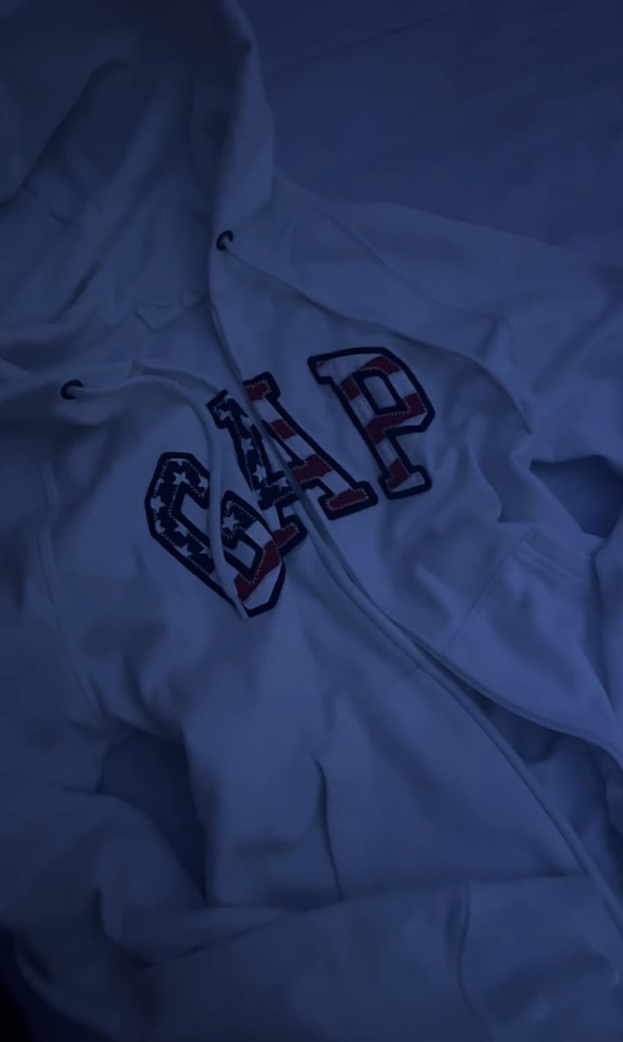 GAP 성조기 후드집업 상품이미지1