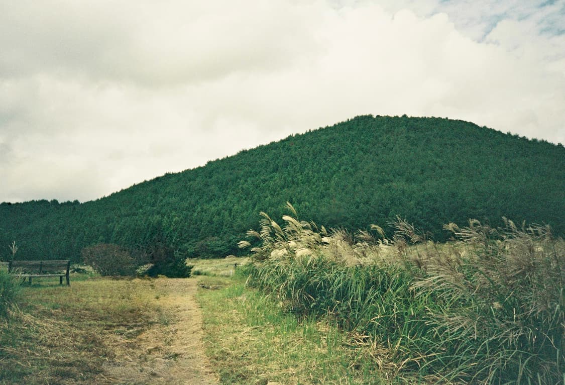 라이카 미니2 상품이미지8