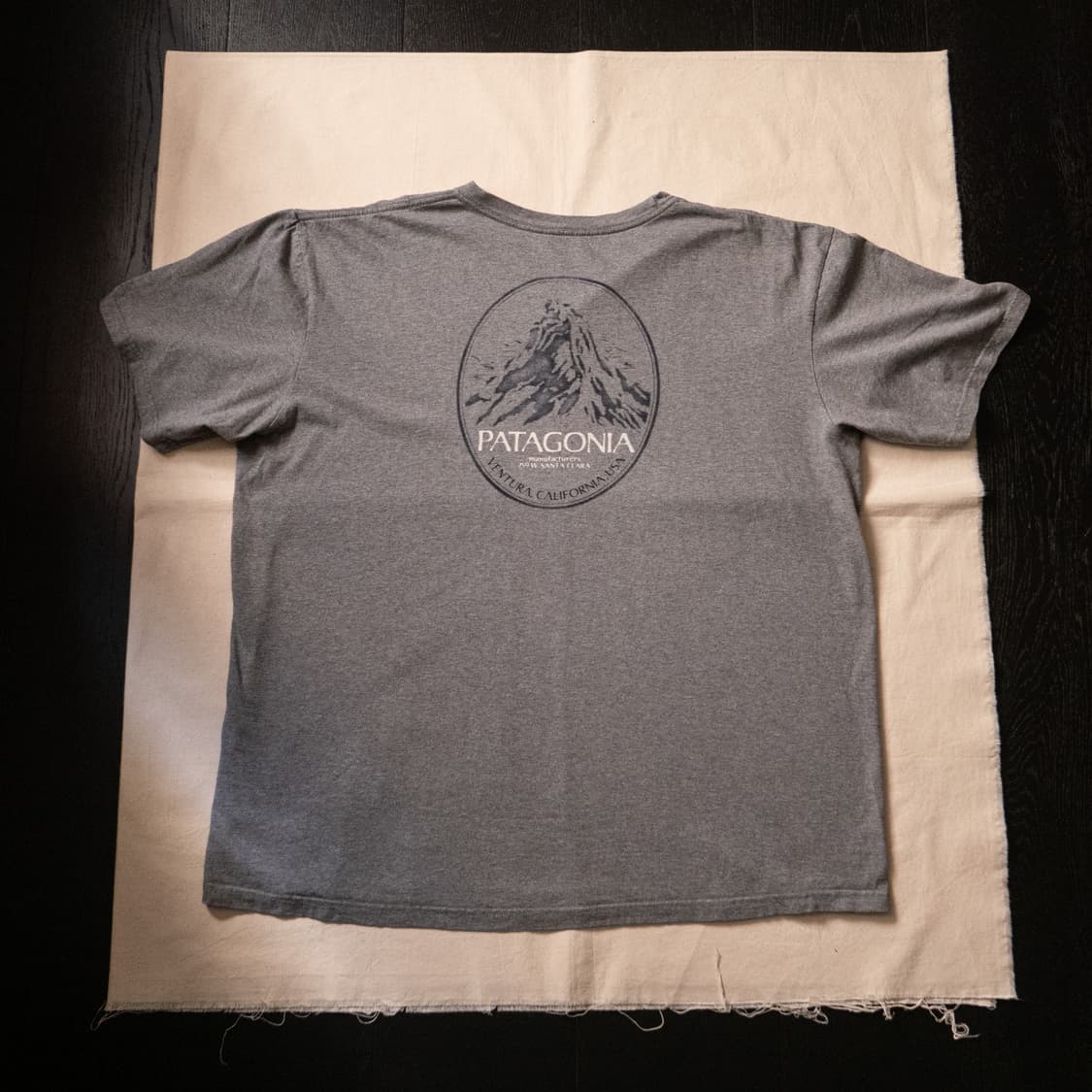 Vintage Patagonia T shirt (~110) 상품이미지1