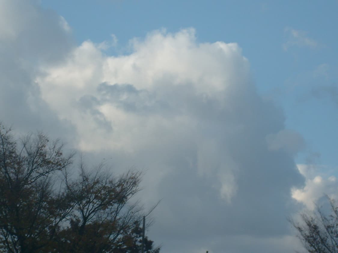 NCT재민 디카&희귀!) Samsung VLUU i8 카메라 상품이미지3