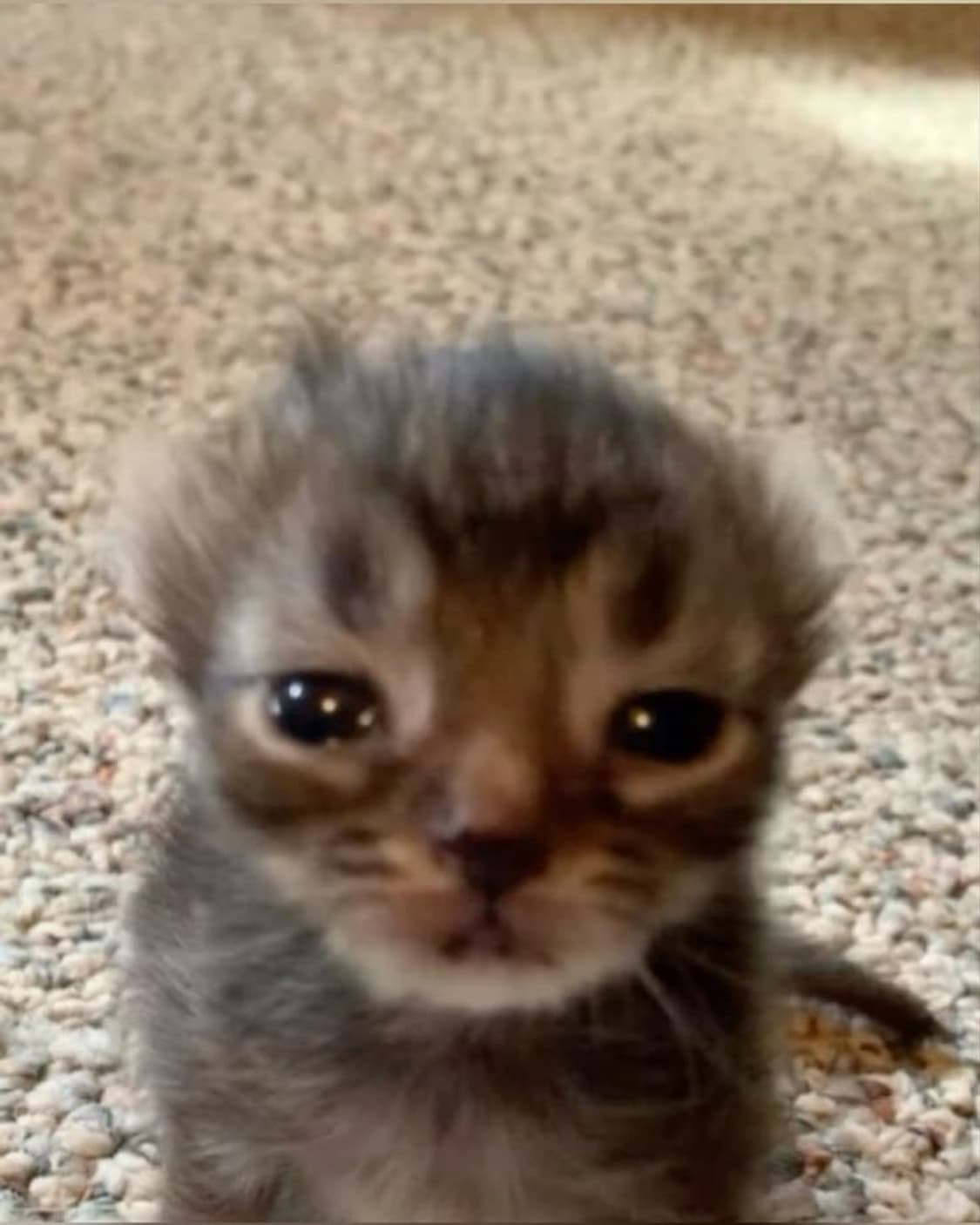 3/1 스토어 폐쇄 할인 공지 상품이미지1