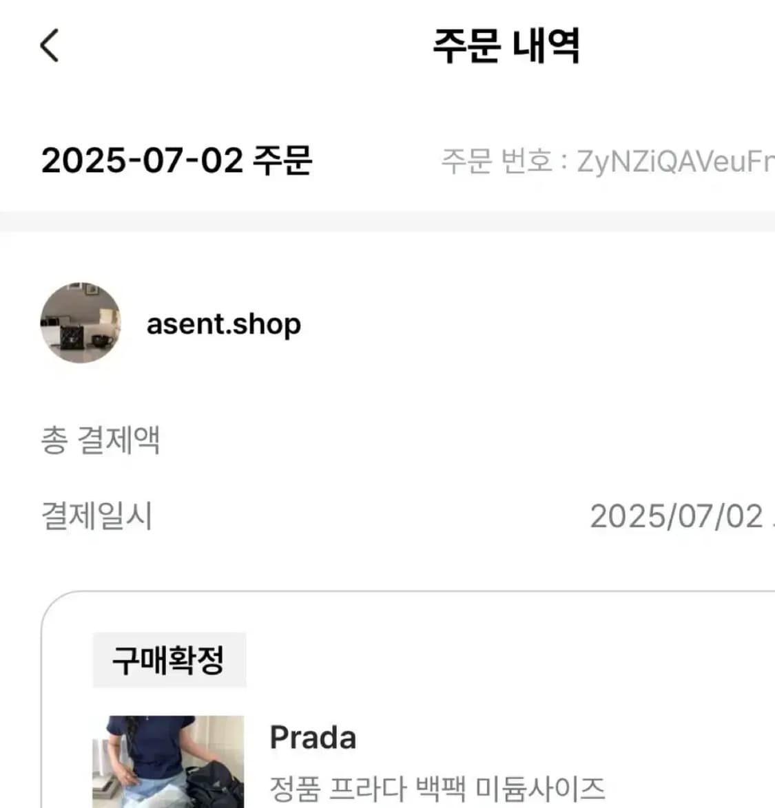 정품 프라다 백팩 미디움 사이즈 상품이미지5