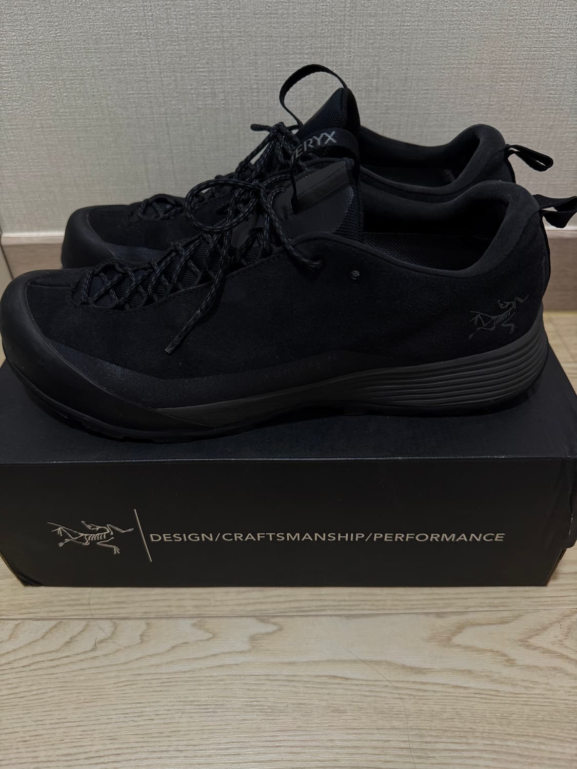 아크테릭스 컨실 FL2 레더 고어텍스 275 상품이미지2