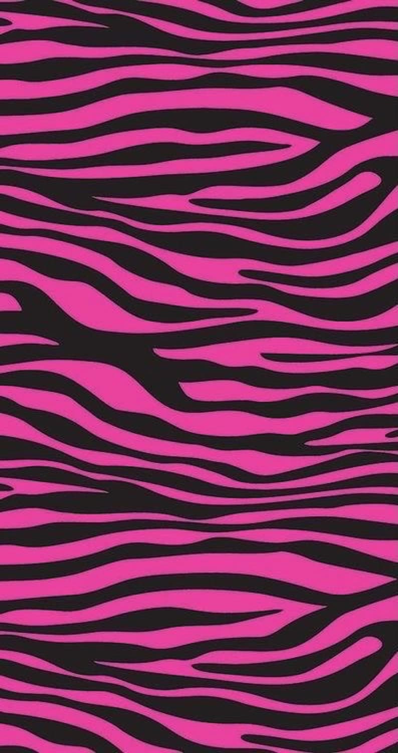 개인결제창 상품이미지1