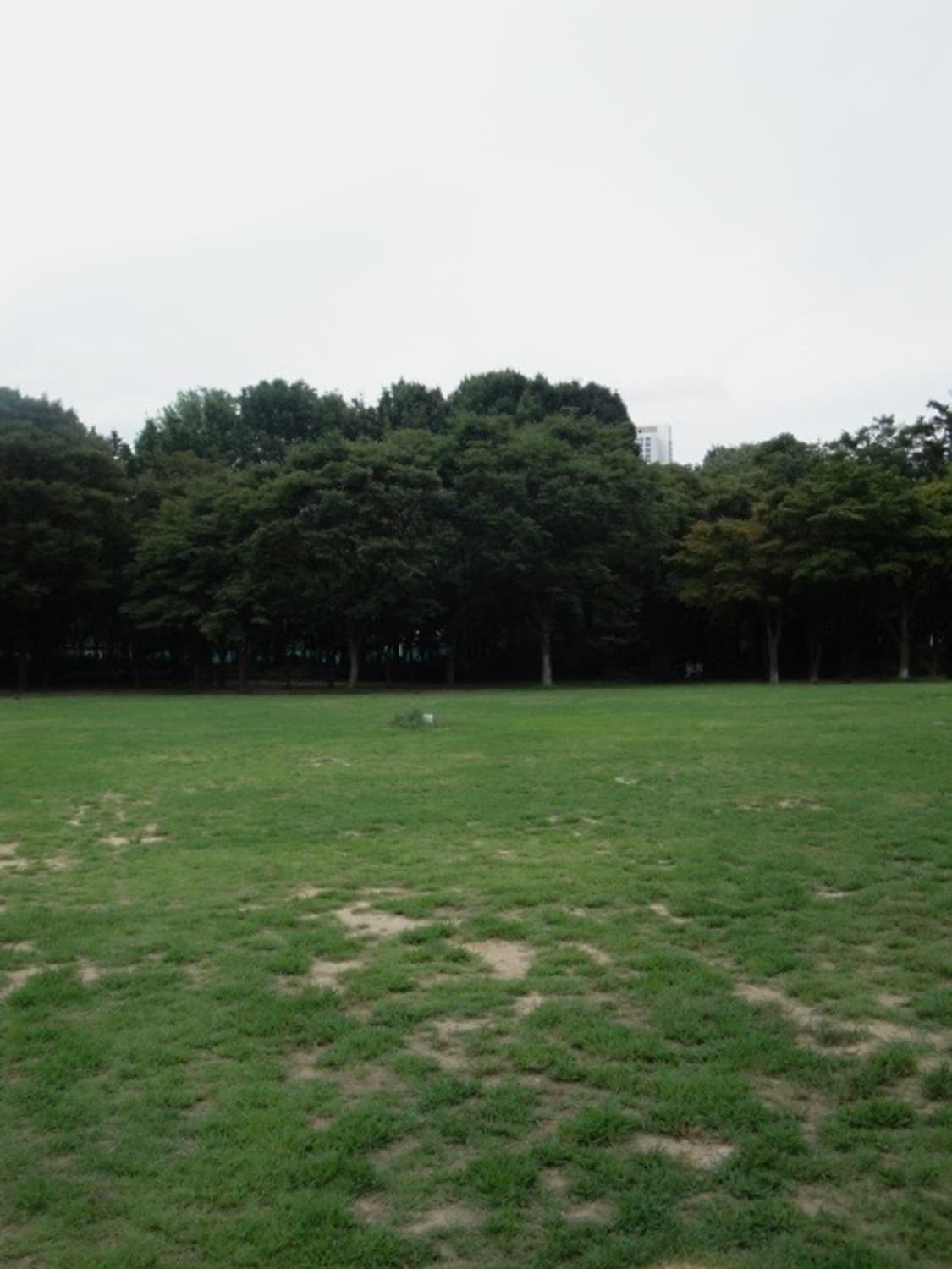 소니 사이버샷 Sony Cybershot DSC W270 상품이미지5
