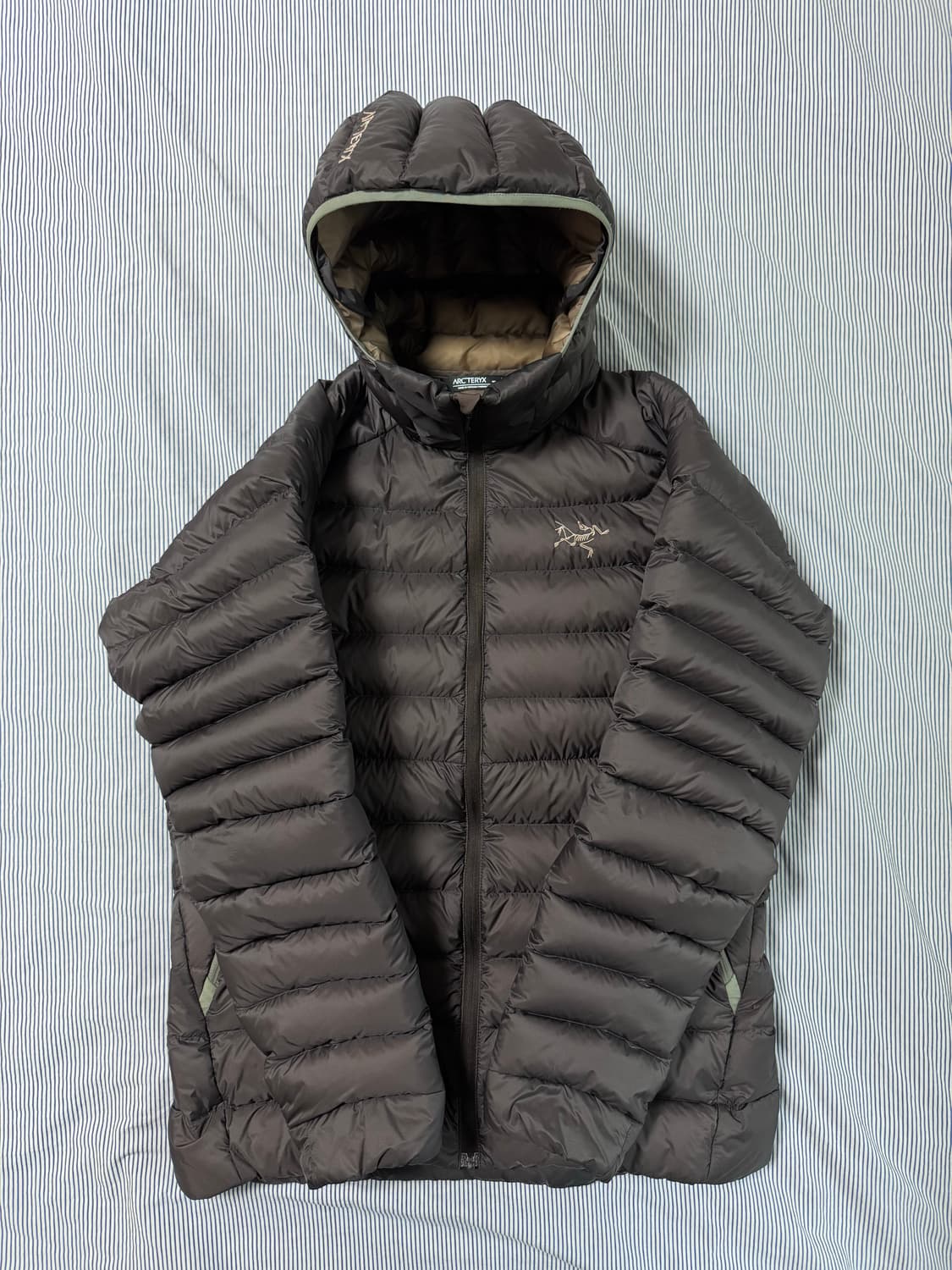 아크테릭스 세륨 후디 비터스 상품이미지1