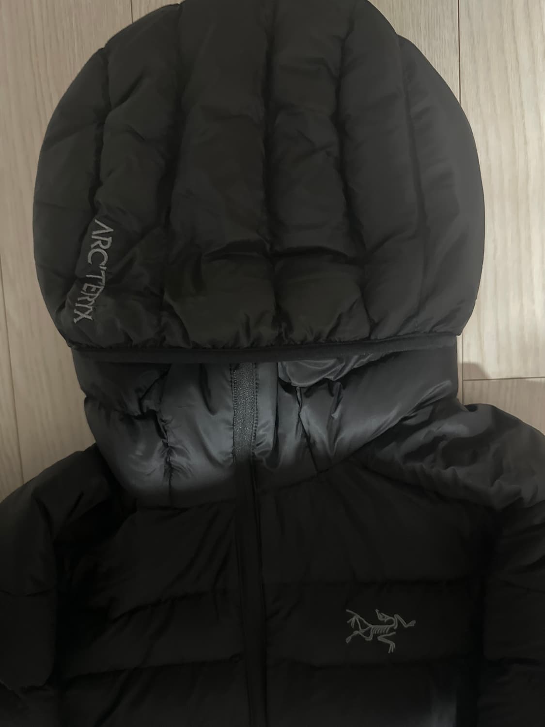 아크테릭스 세륨 구형(15년도) 상품이미지3