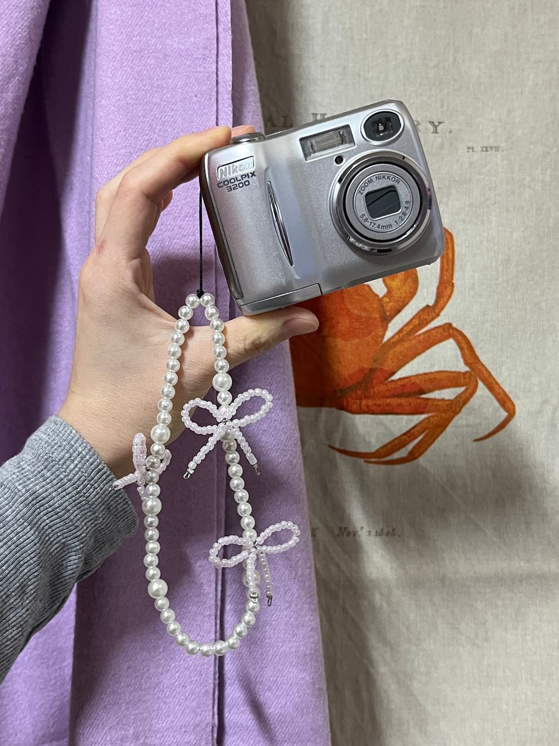 니콘 쿨픽스 3200 상품이미지1