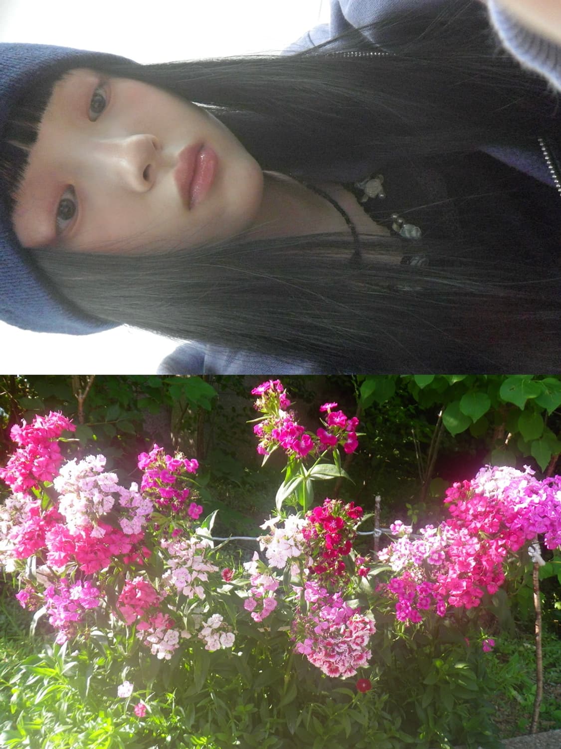 🦁 펜탁스 옵티오 WS80 🦁 빈티지 디카〰️주인장 최애 디카 상품이미지8