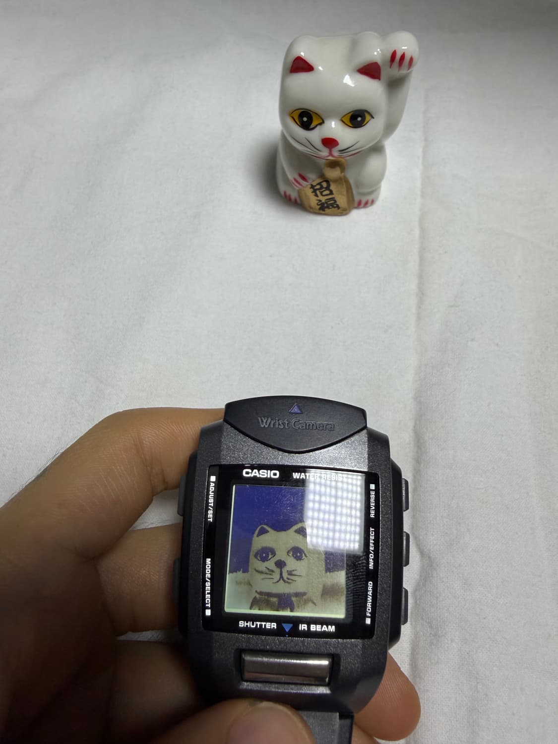 카시오 wqv-1 상품이미지6