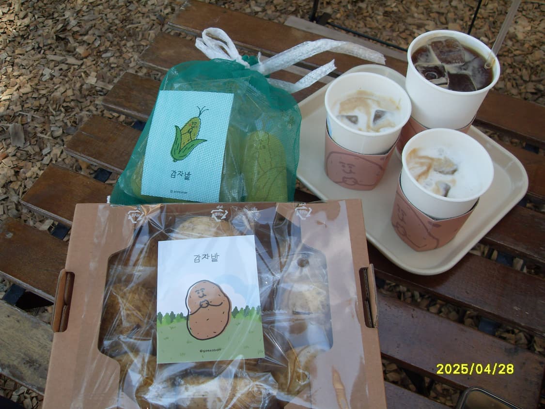 삼성 vluu l100 디카 상품이미지9