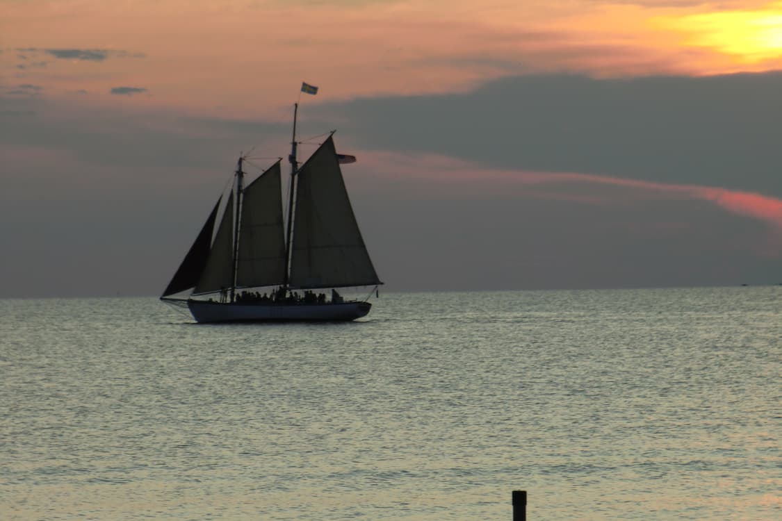 *극미품* 카시오 h15 빈티지 디카 상품이미지10