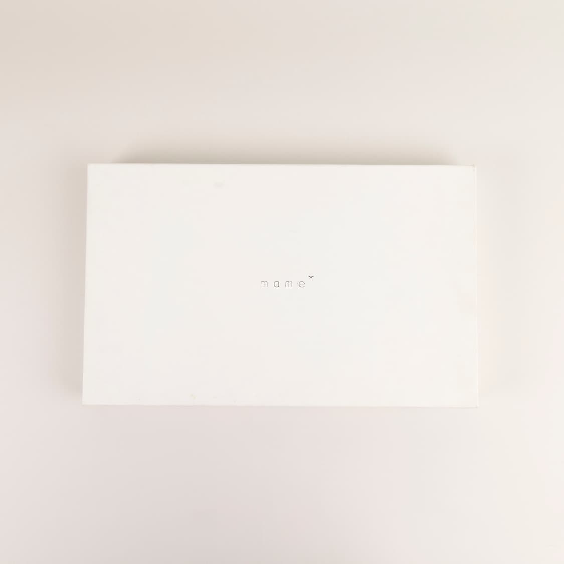 mame kurogouchi 투명 클러치백 여름 상품이미지2