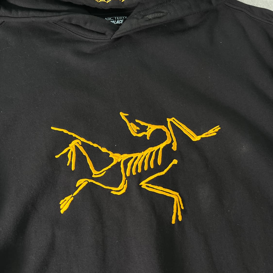 105 아크테릭스 x 팔라스 후드티 상품이미지3