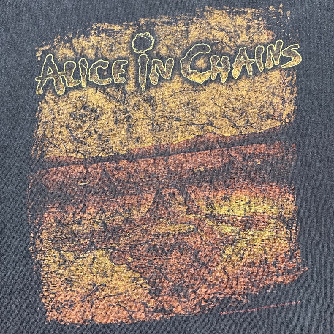 00s 앨리스 인 체인스 Dirt 빈티지 티셔츠 XL 상품이미지4