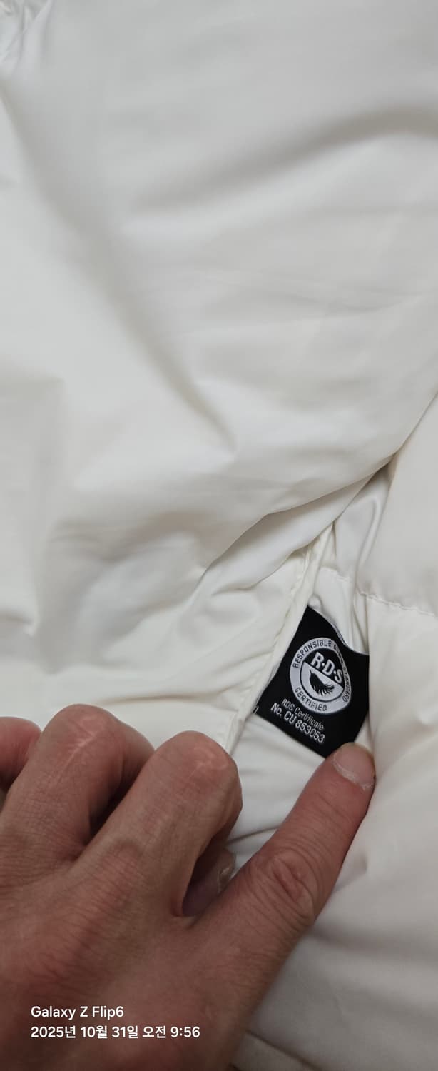 눕시 화이트 95 상품이미지7