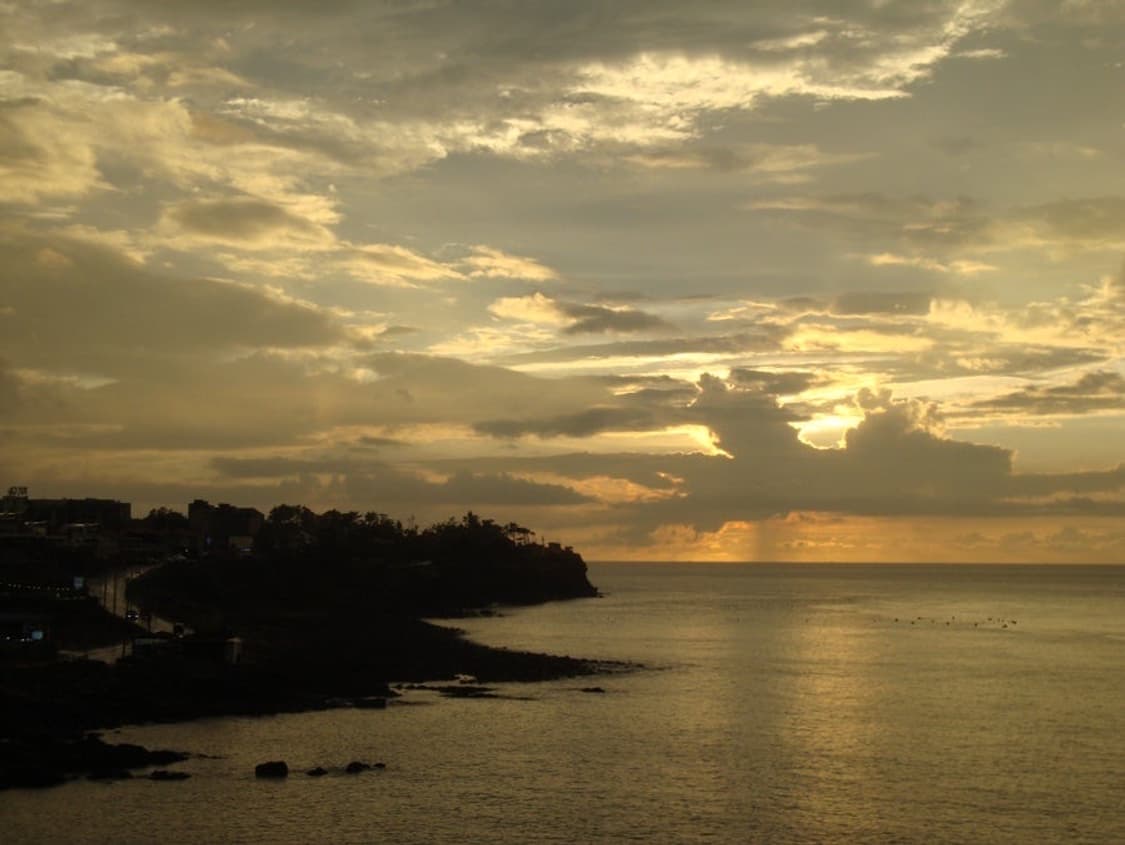 Sony cybershot dsc-w220 사이버샷 콤팩트 감성 작례 O 상품이미지8