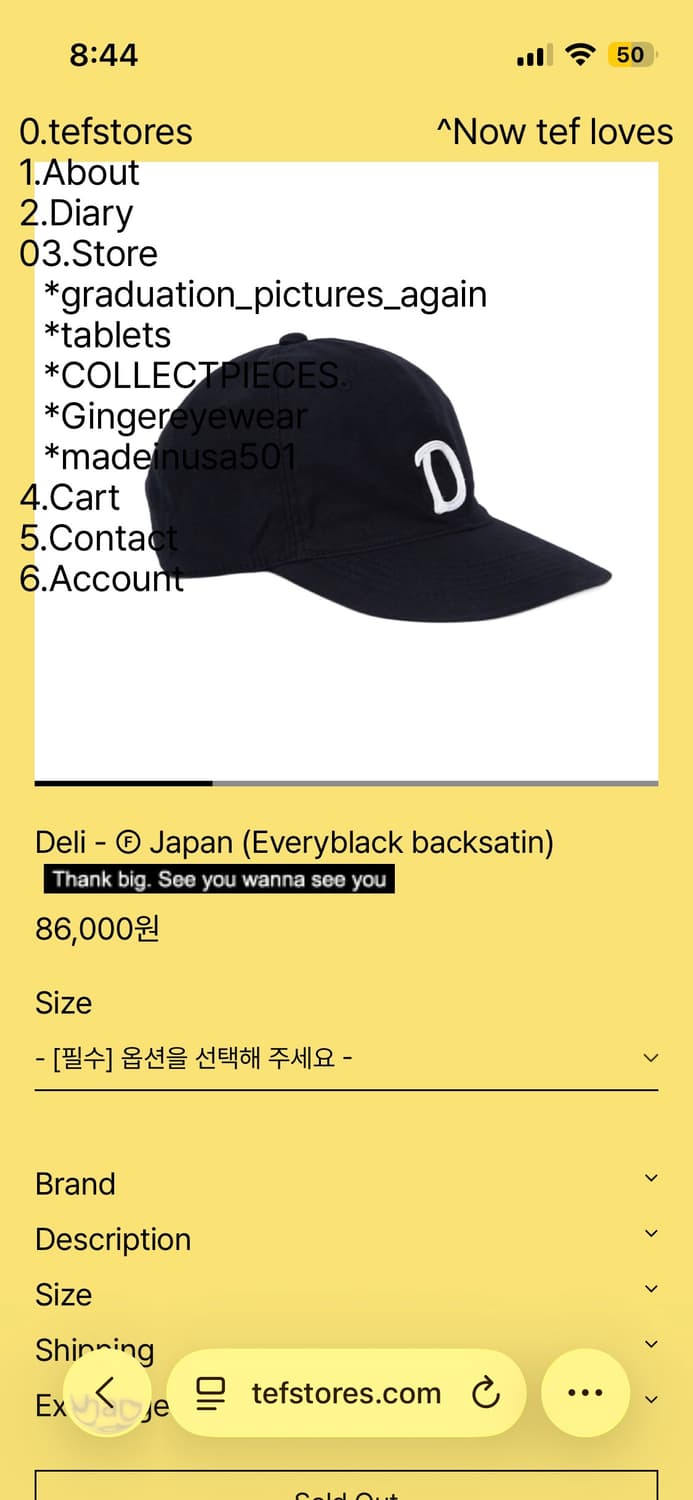 테프스토어즈 deil L사이즈 상품이미지1
