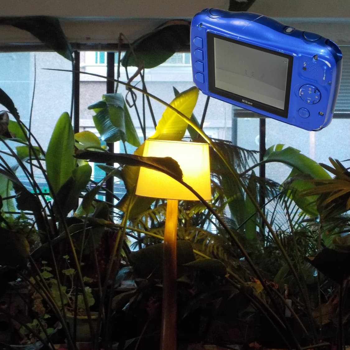 Coolpix W100 (B급/🎁풀패키지) 상품이미지8