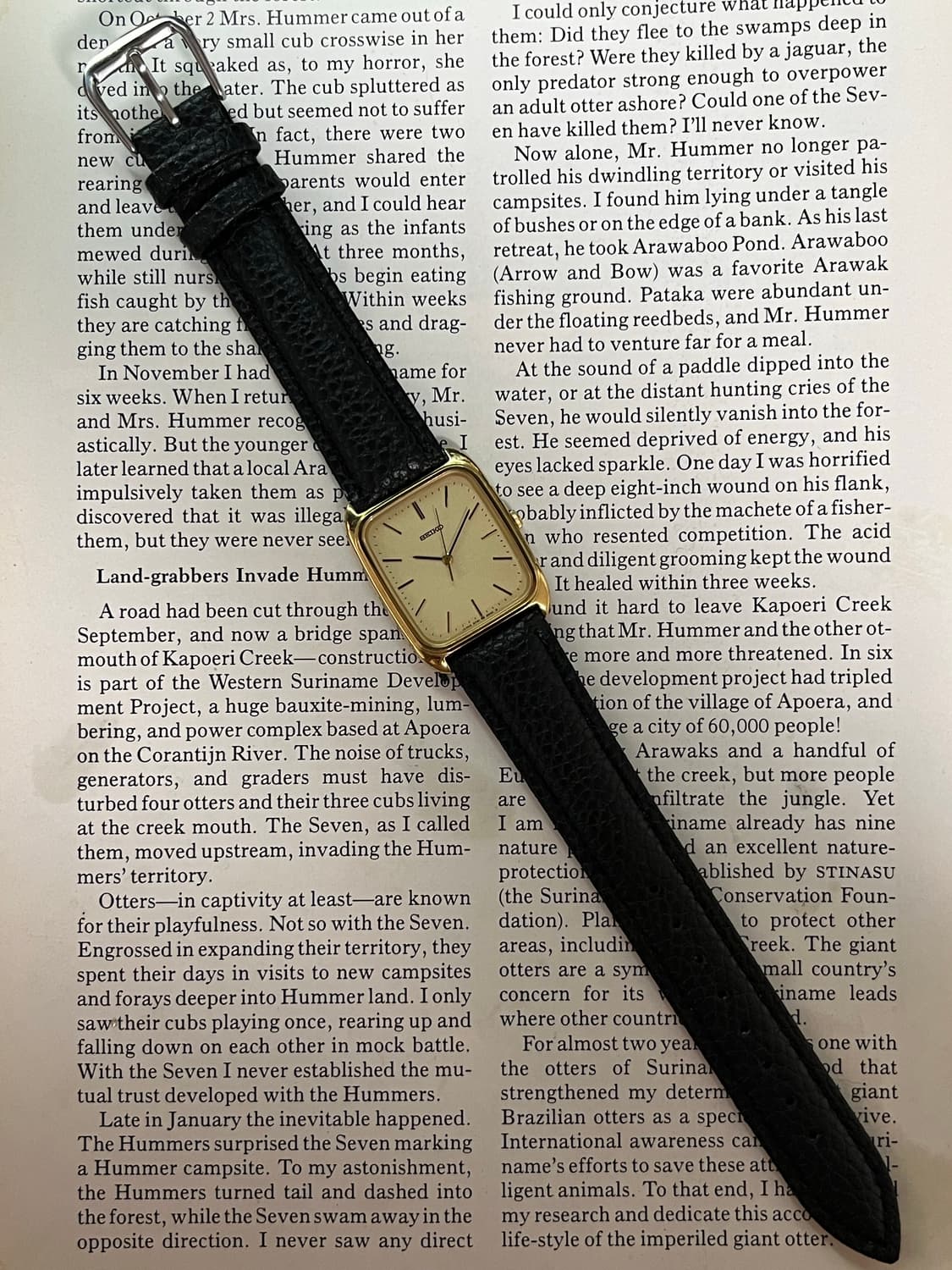 Seiko Chariot Vintage  상품이미지3