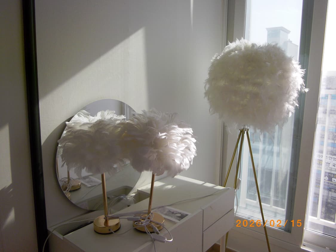 아이브 레이 카메라 펜탁스 옵티오 RS1000 작례o 상품이미지8