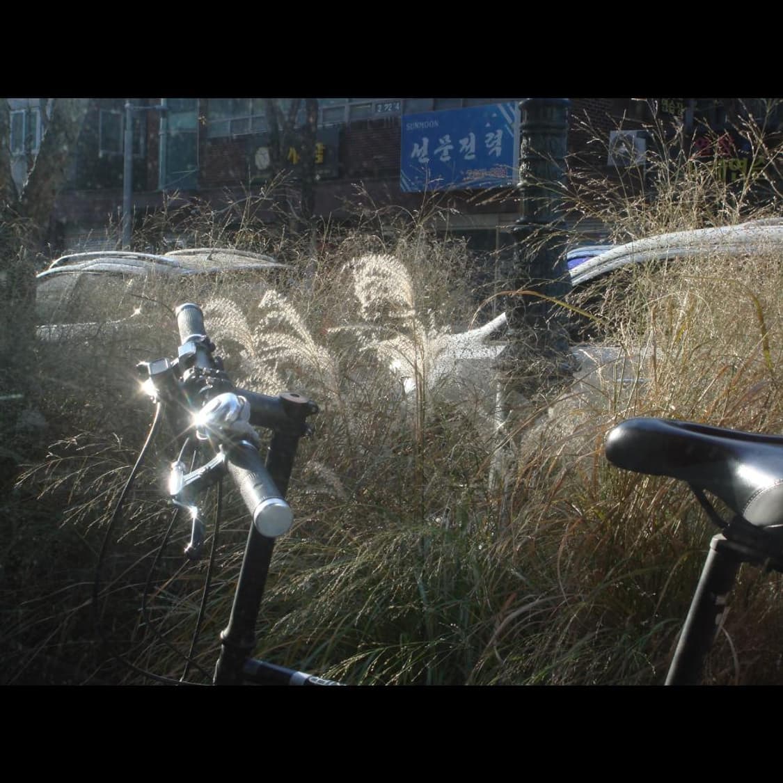 작례⭕️ 소니 사이버샷 DSC-T50 빈티지 디카 디지털카메라 상품이미지7