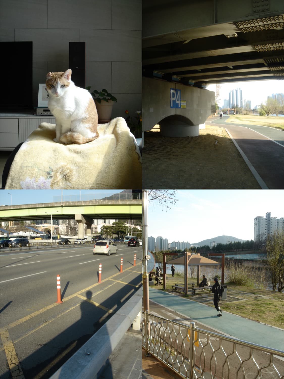 소니 사이버샷 dsc-t1 디지털카메라 상품이미지2