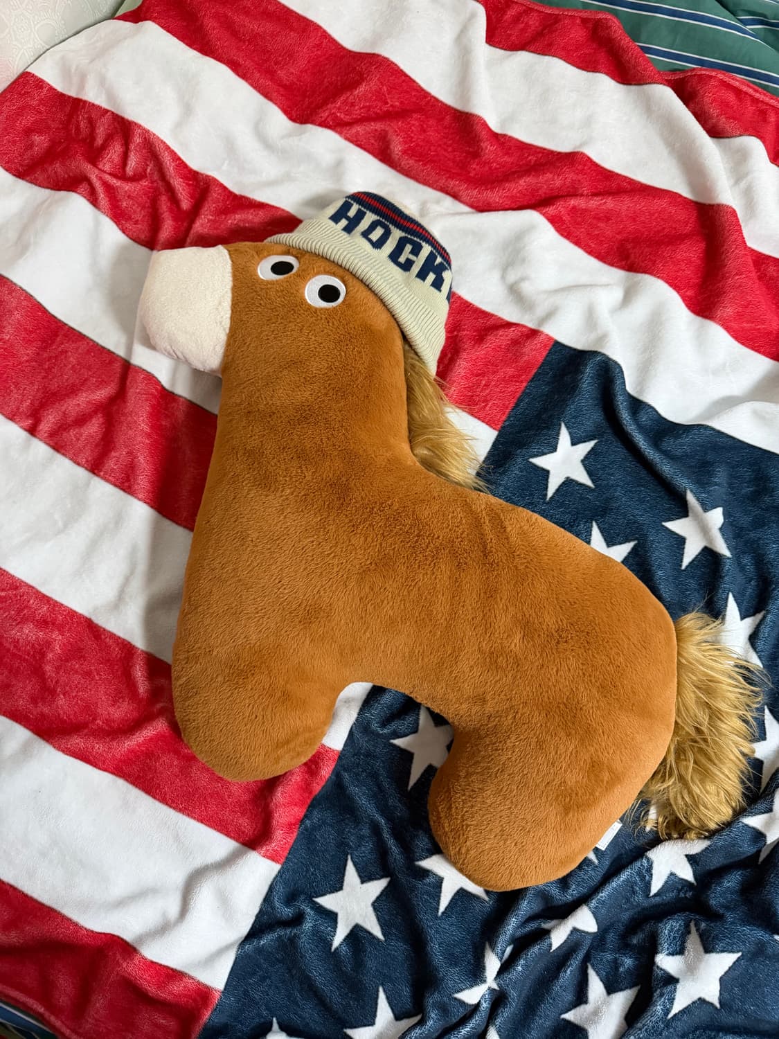 하키 브랜드 로고 비니 상품이미지1