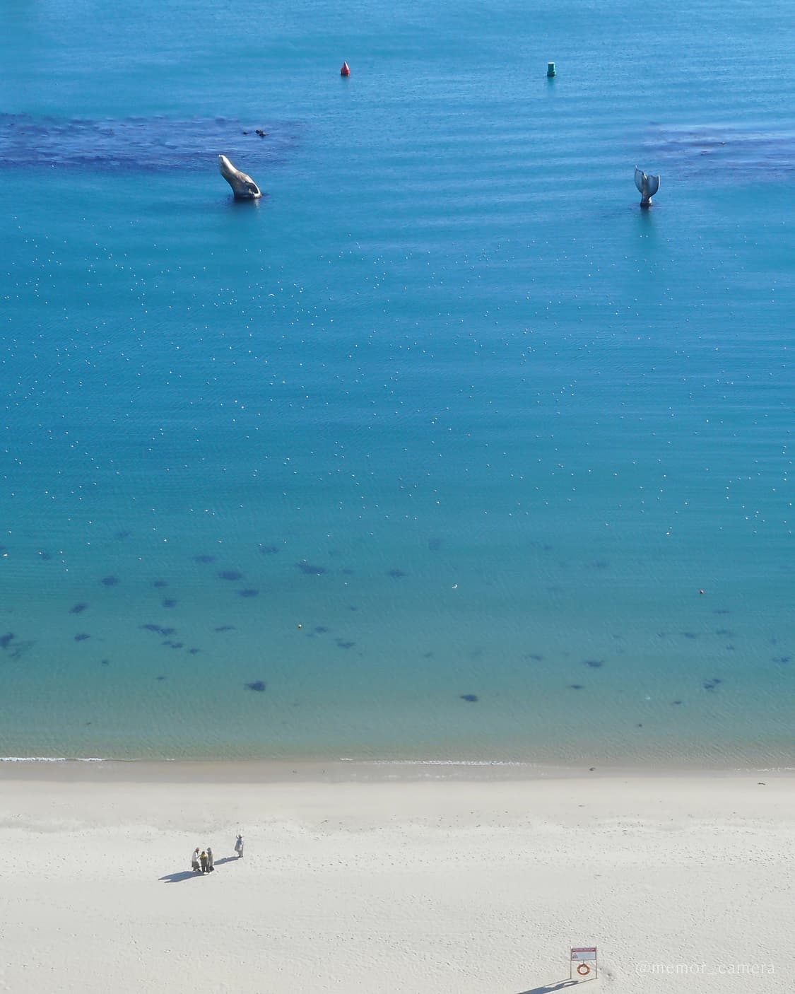 인기/소프트포커싱 기능 탑재✨Nikon COOLPIX A300 니콘 디카 상품이미지10