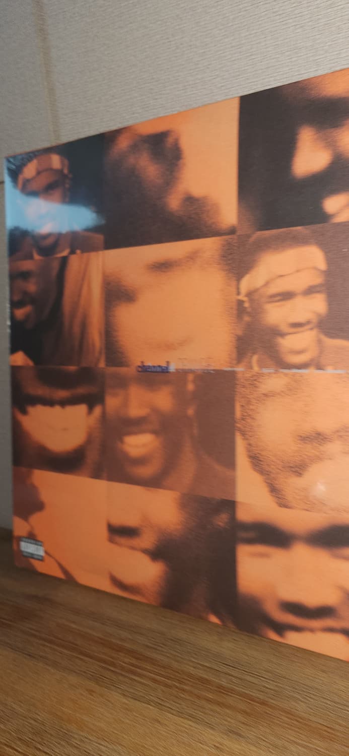 Frank Ocean 프랭크 오션 채널 오랜지 LP 상품이미지2