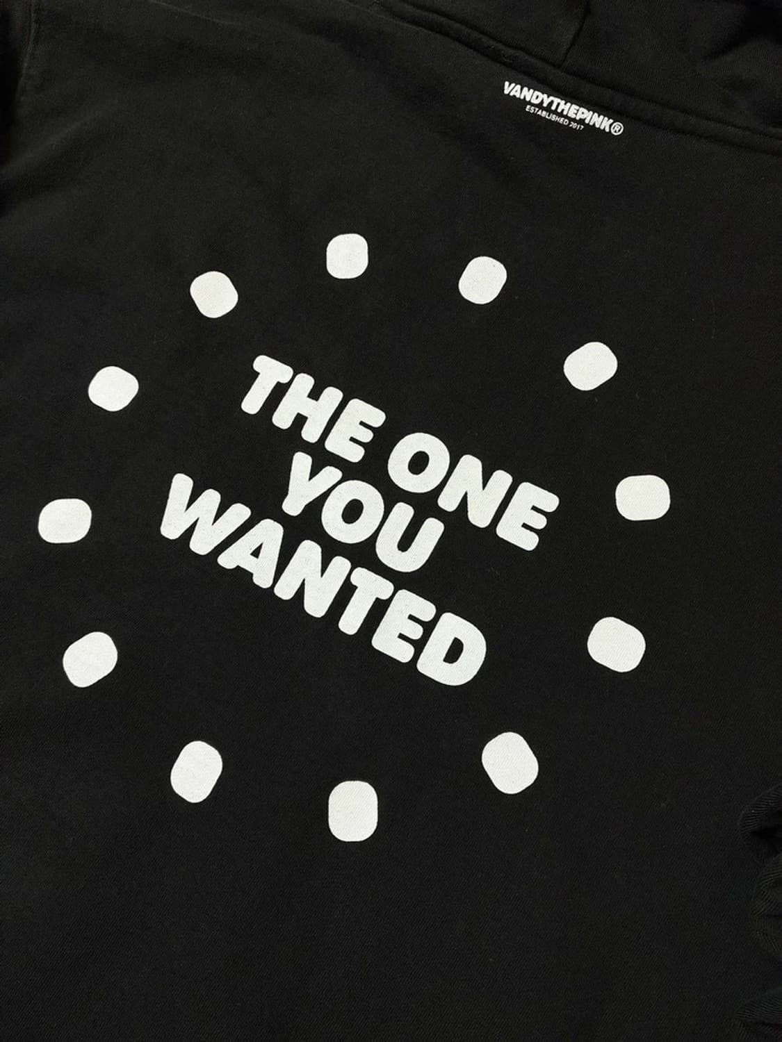 VANDY THE PINK x Jay Park 헤비코튼후드티 PN6409 상품이미지3