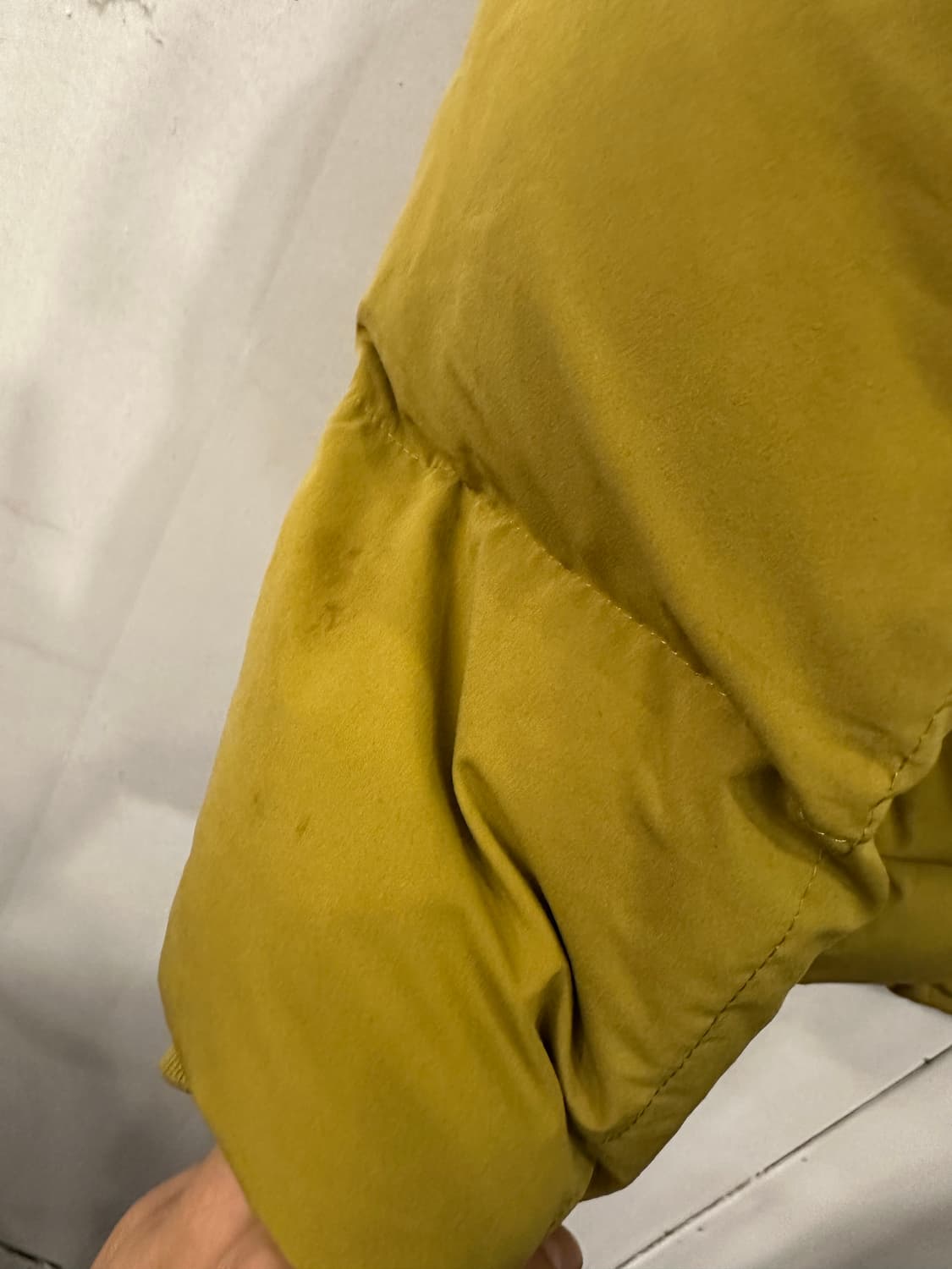 L)에디바우어 카라코람 상품이미지6