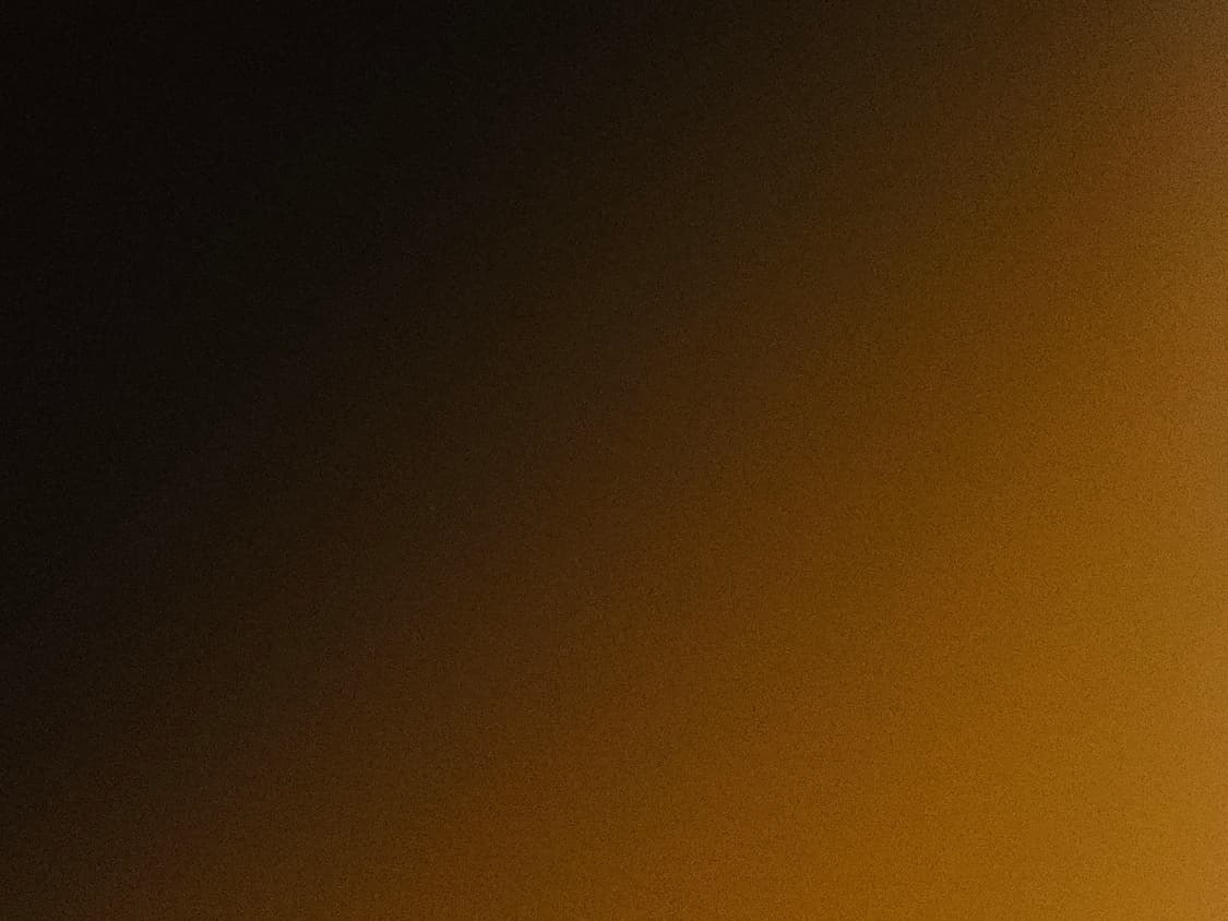 폴로랄프로렌 빅포니 치프키프 프랑스 엠브로이더리 반팔 피케티 카라티 M 상품이미지7