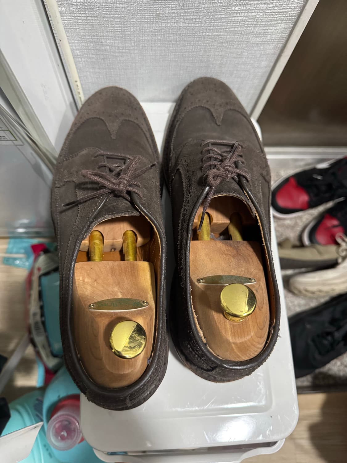 알렌 에드몬즈 스웨이드 윙팁 10D 상품이미지2