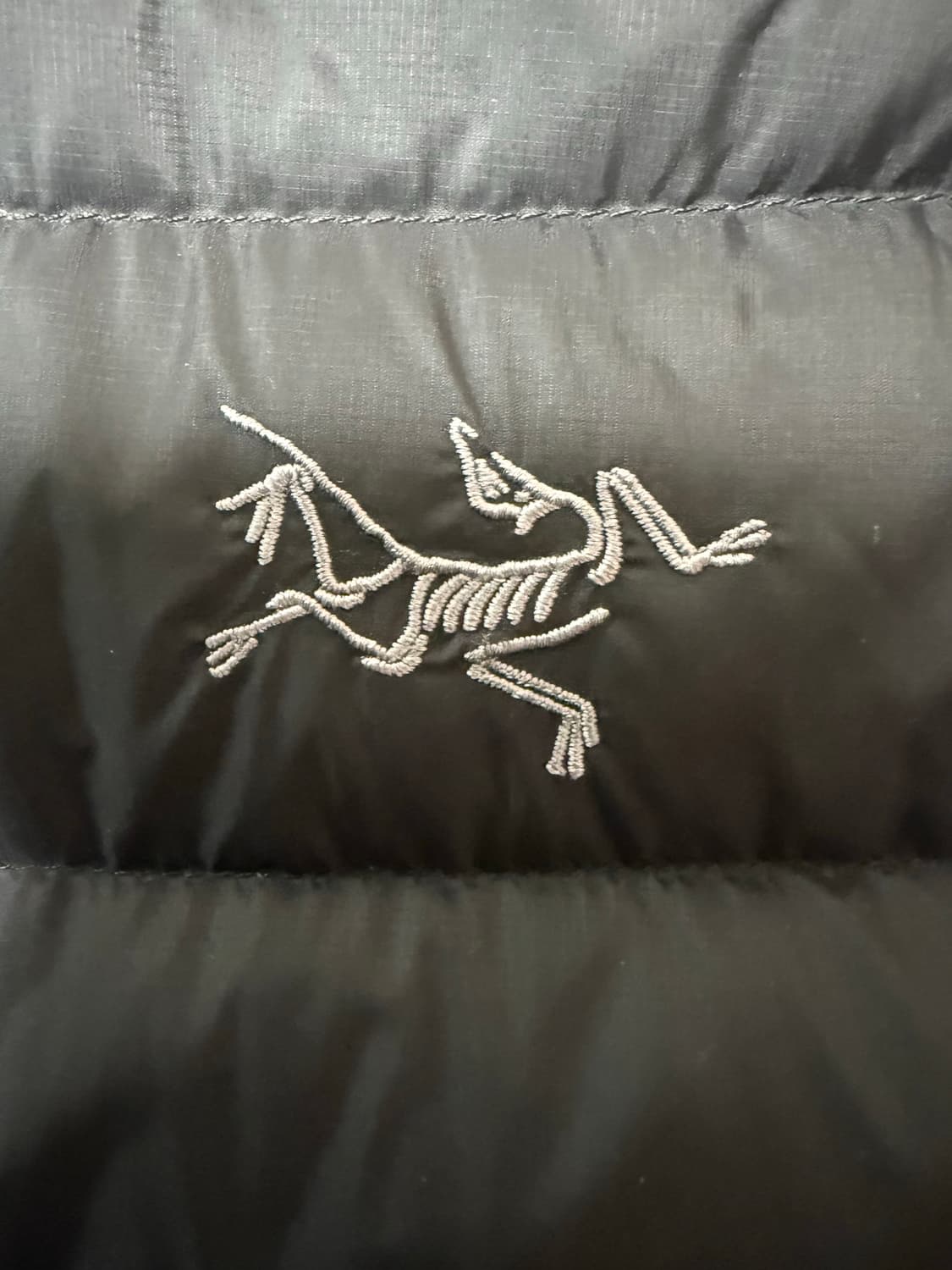 (L)아크테릭스 세륨 블랙 상품이미지4