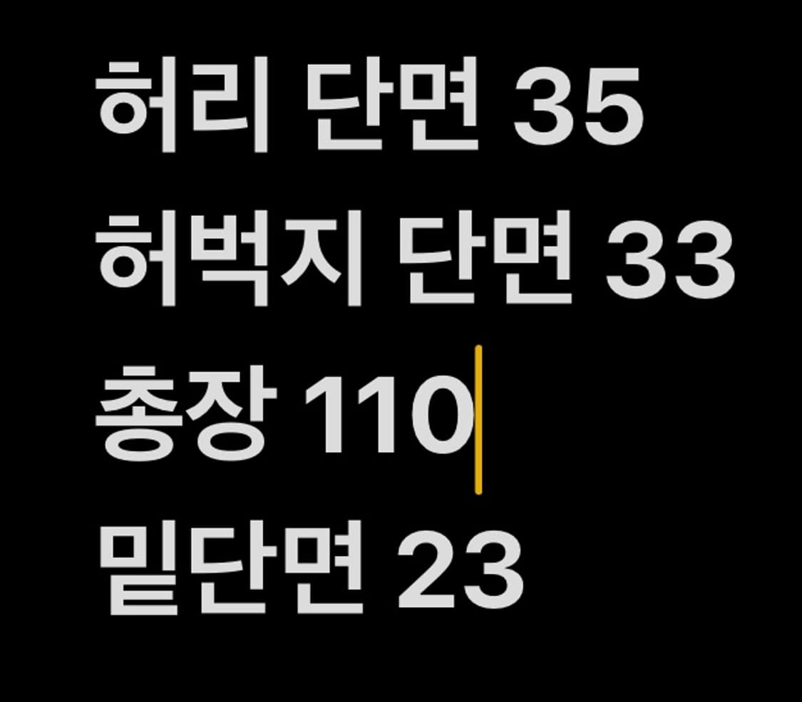 [ 정품/M ] 인사일런스 벨티드 벌룬 데님 팬츠 b8 상품이미지8