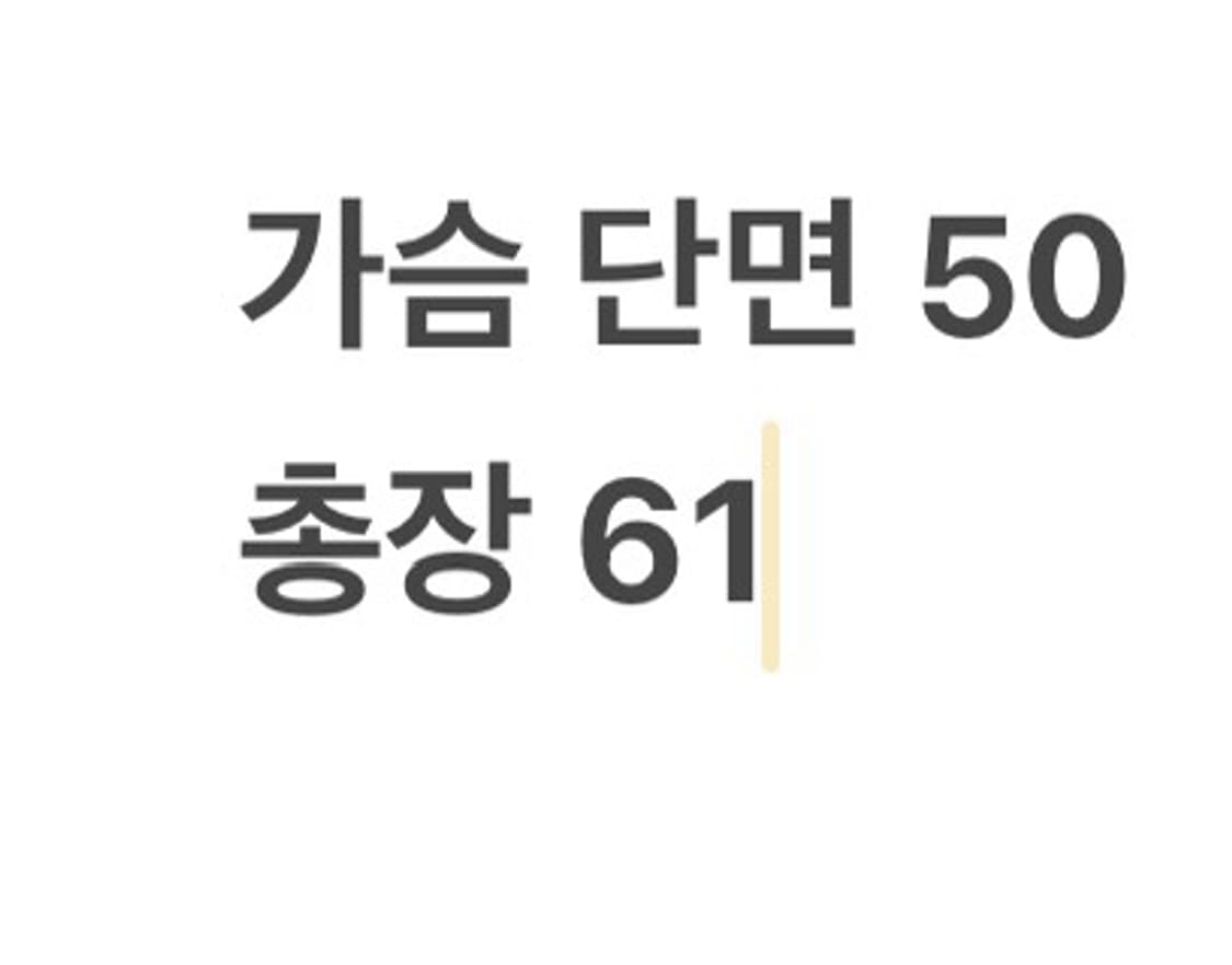 [ 정품/95 ] CP 컴퍼니 경량 패딩 자켓 b16 상품이미지10