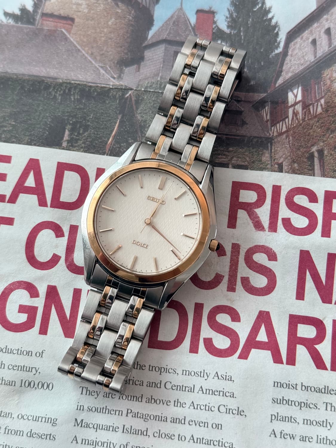 세이코 Seiko Dolce  드레스 워치 콤비 상품이미지2