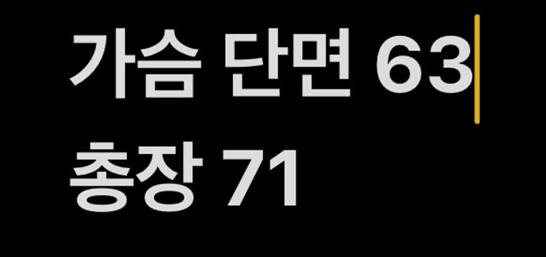 [ 정품/100 ] 아식스 올드스쿨 바람막이 자켓 b15 상품이미지9