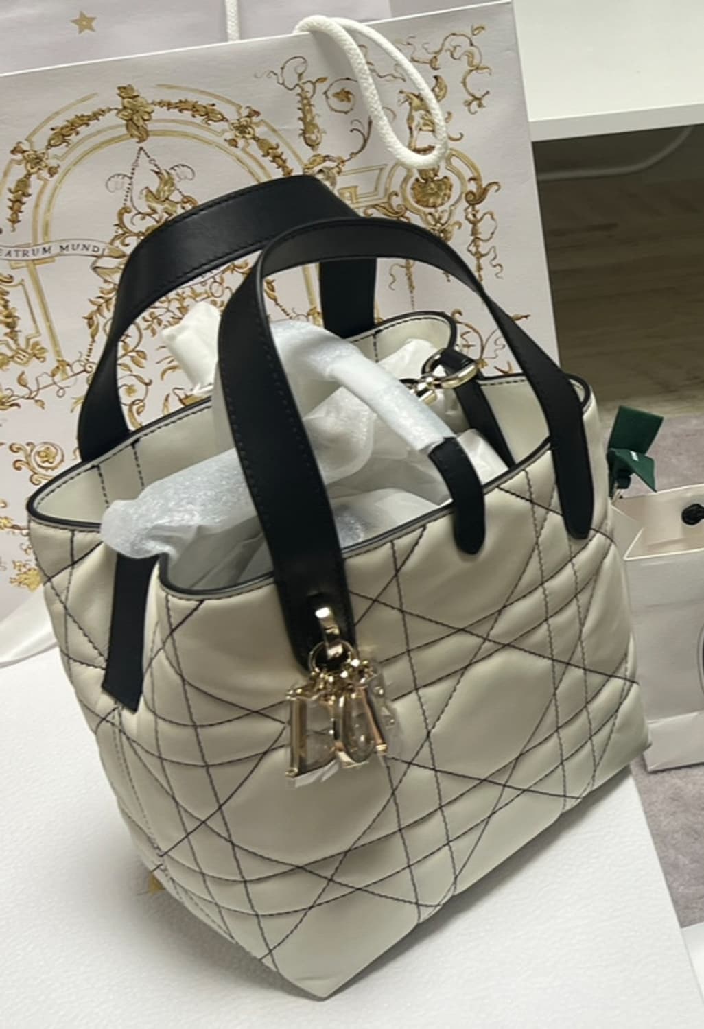 디올 뚜주흐 버티컬 스몰 상품이미지3