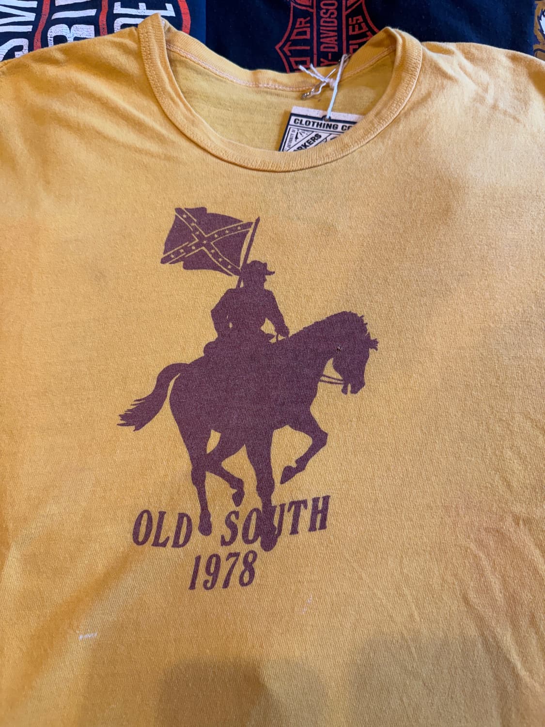 70s 러셀 OLD SOUTH 티셔츠 (L) 상품이미지4