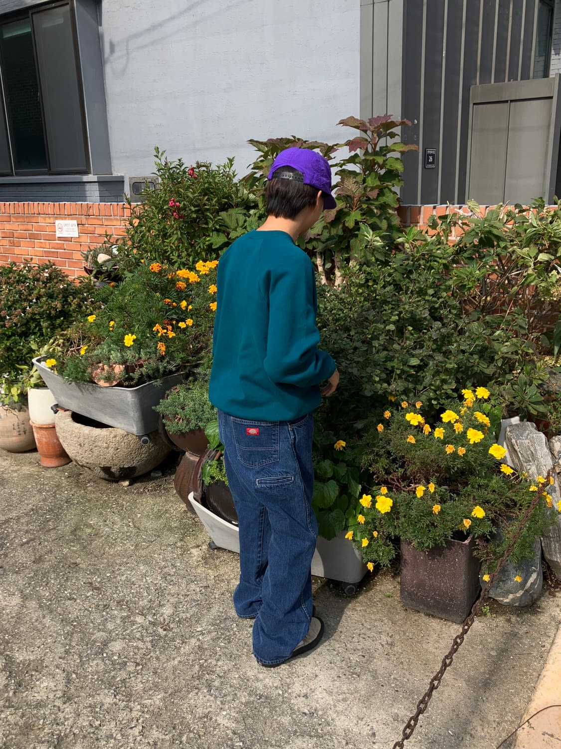 DICKIES regular fit 상품이미지8