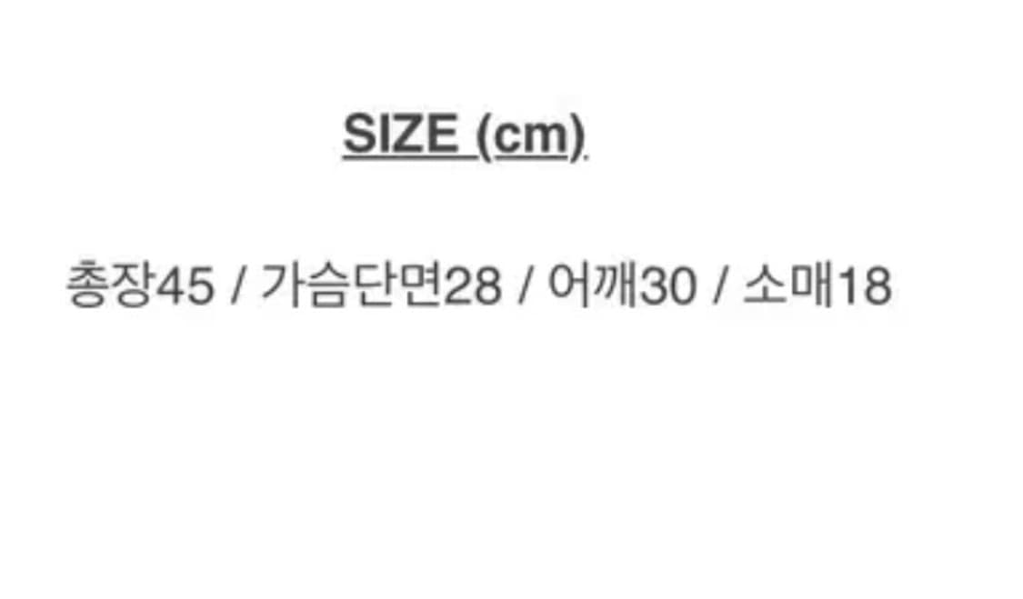 새거)레이스 퍼프 반팔티셔츠 쓰리타임즈 코이세이오 브랜디멜빌 미스치프 상품이미지4