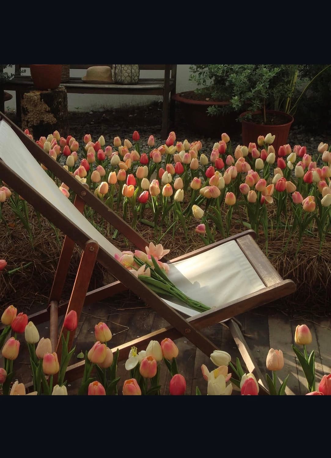 소니 사이버샷 w80 디지털카메라 상품이미지9