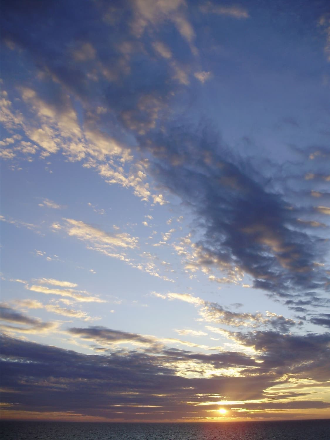 올림푸스 Olympus FE-310 실버 상품이미지3