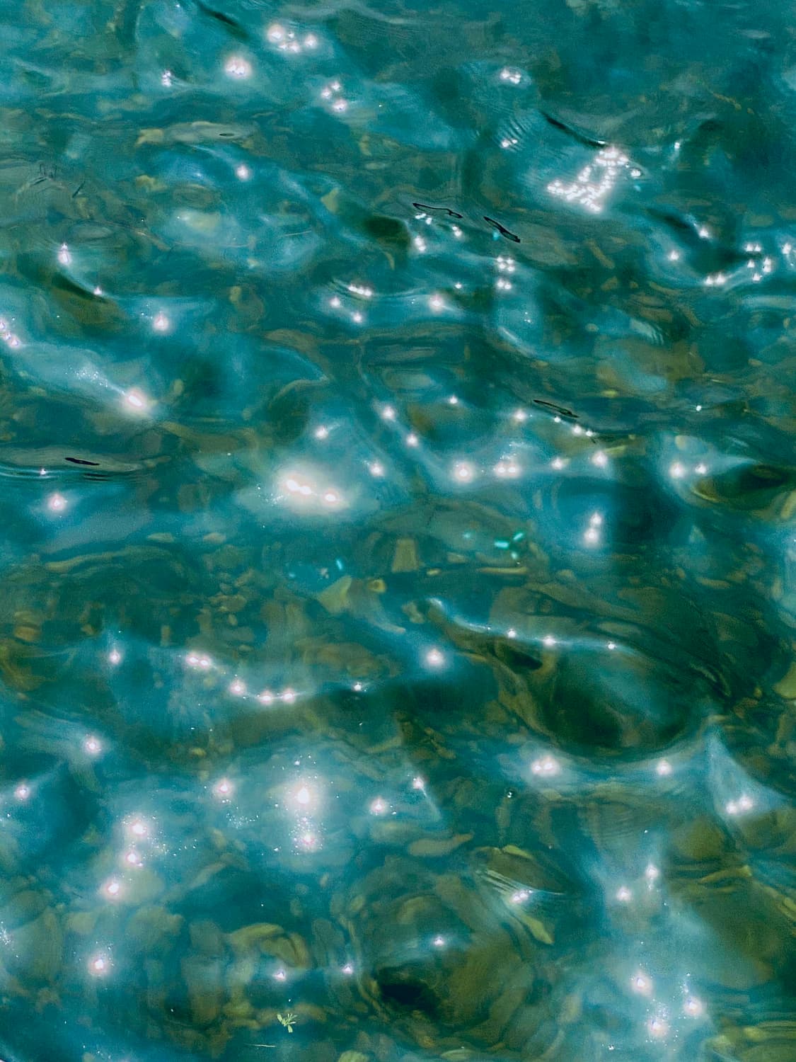 아다다스 상품이미지1