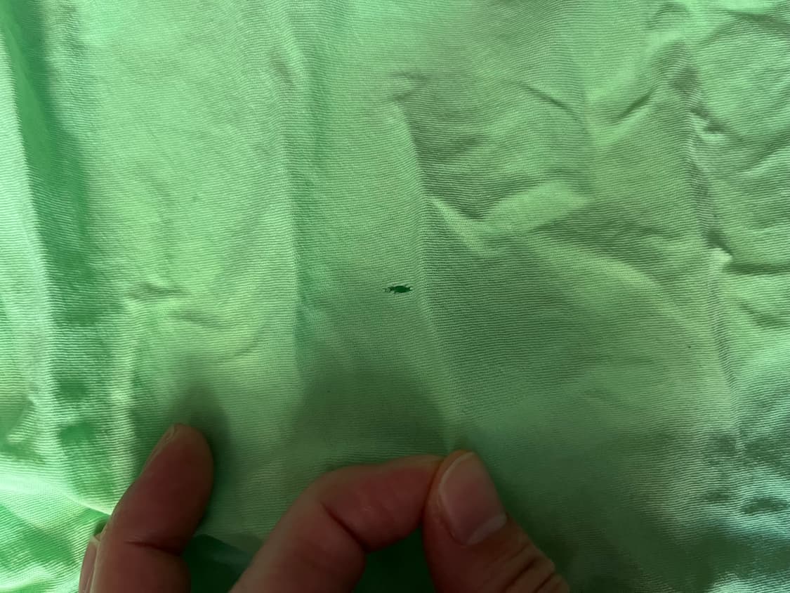 ERL 빈팔티  상품이미지3