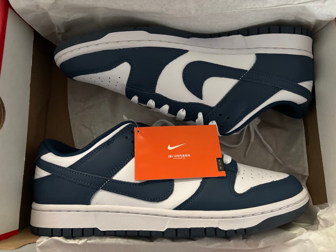 NIKE DUNK LOW RETRO VALERIAN BLUE 280 상품이미지1